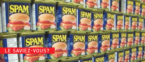 Mais d'où vient le mot &quot;Spam&quot;? Agence digitale Paris