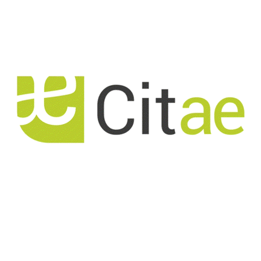 CITAE logo