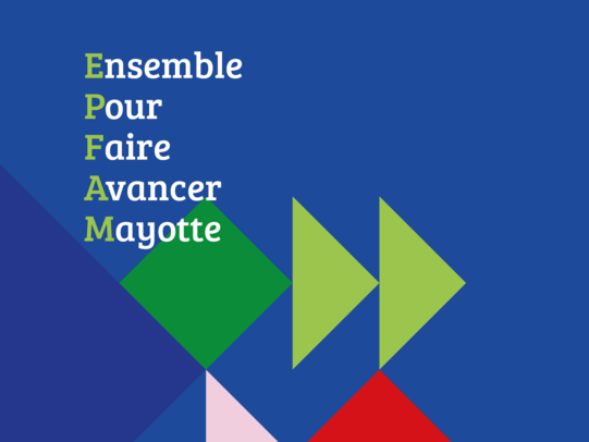 EPFA Mayotte - Brand Book mouseout