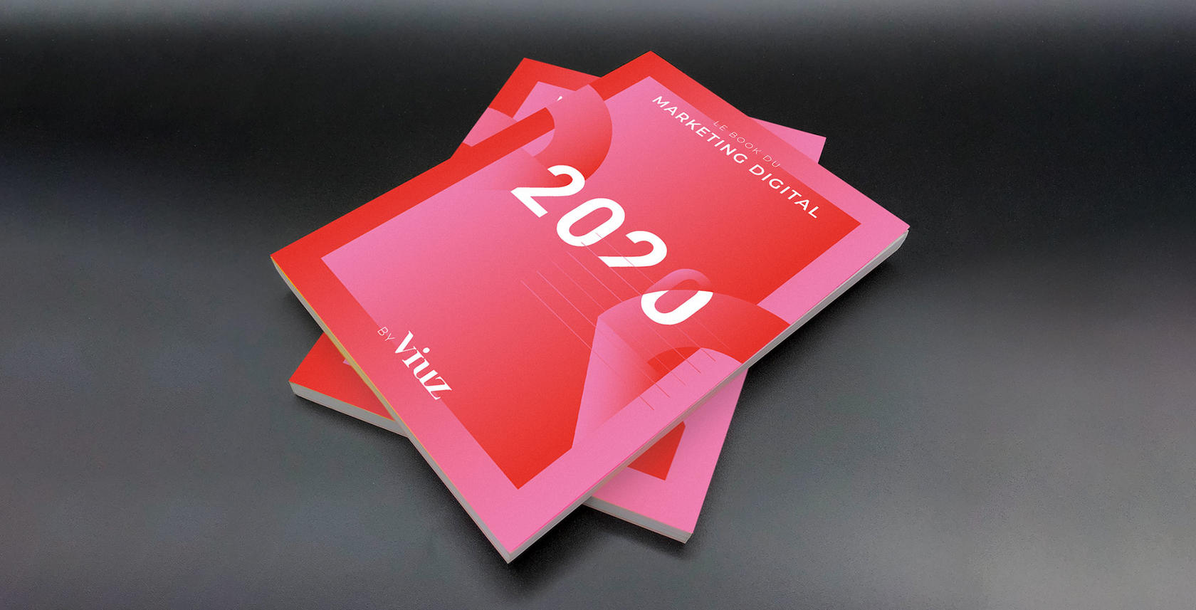 Viuz - Book 2020